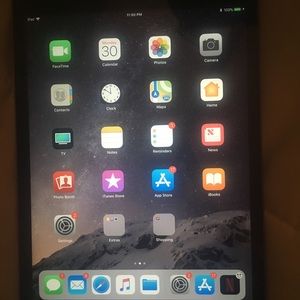 iPad Mini 16gb